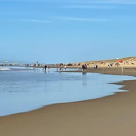 Holiday Home Les Pinasses By Interhome * Mimizan-Plage