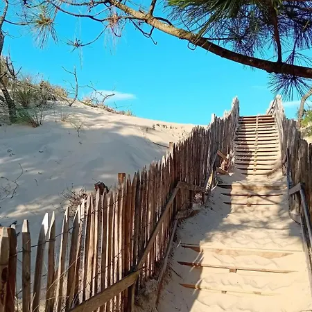 Holiday Home Les Pinasses By Interhome * Mimizan-Plage