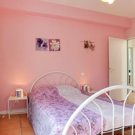 Holiday Home Les Pinasses By Interhome Mimizan-Plage