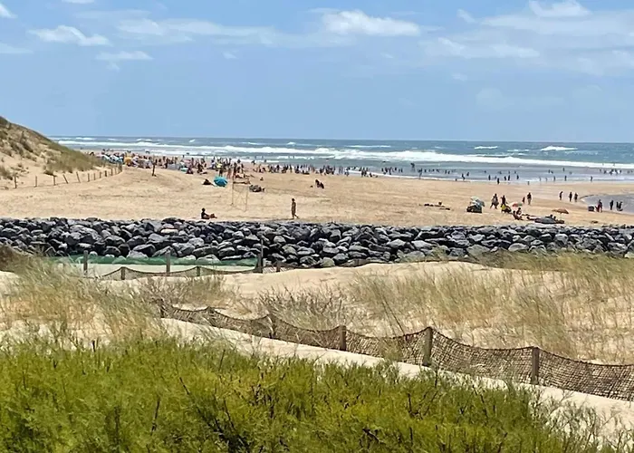 Vakantiehuis Les Pinasses By Interhome Mimizan-Plage